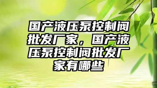 國產液壓泵控制閥批發(fā)廠家，國產液壓泵控制閥批發(fā)廠家有哪些