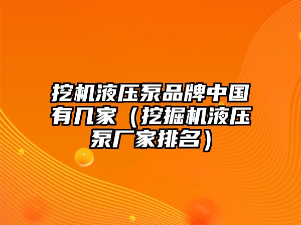 挖機(jī)液壓泵品牌中國(guó)有幾家（挖掘機(jī)液壓泵廠家排名）