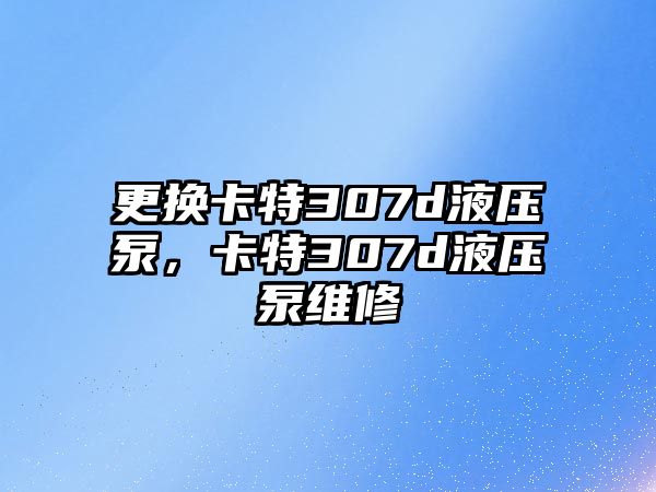 更換卡特307d液壓泵，卡特307d液壓泵維修