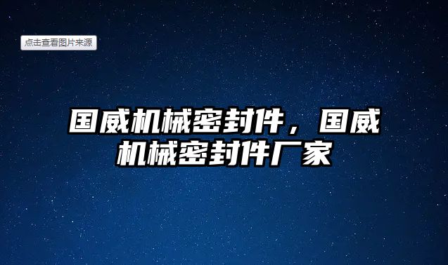 國威機械密封件，國威機械密封件廠家