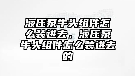 液壓泵牛頭組件怎么裝進去，液壓泵牛頭組件怎么裝進去的