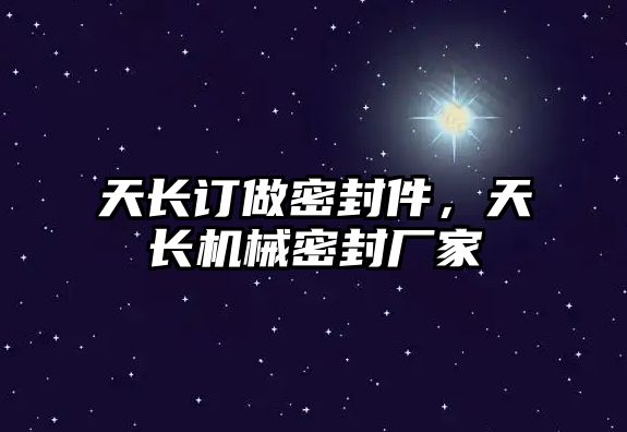 天長訂做密封件，天長機械密封廠家