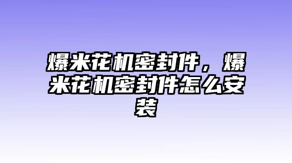 爆米花機(jī)密封件，爆米花機(jī)密封件怎么安裝