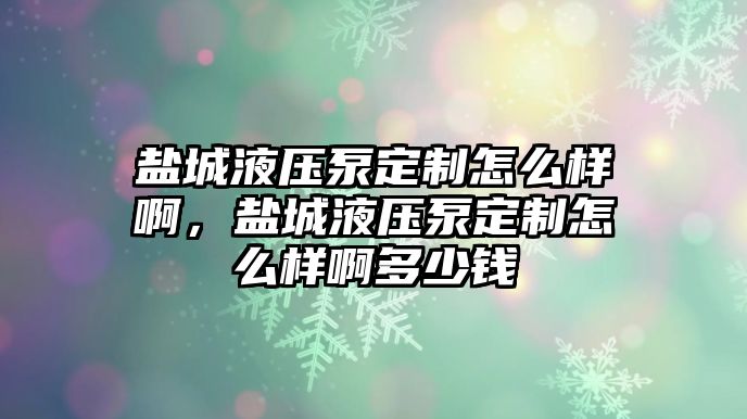 鹽城液壓泵定制怎么樣啊，鹽城液壓泵定制怎么樣啊多少錢