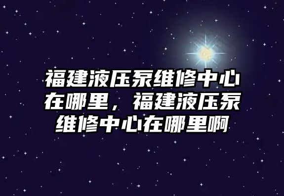 福建液壓泵維修中心在哪里，福建液壓泵維修中心在哪里啊