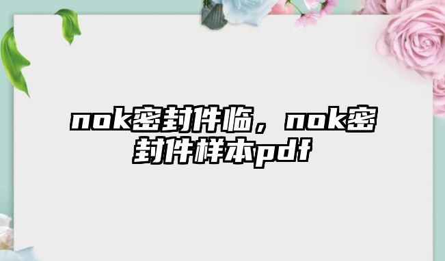 nok密封件臨，nok密封件樣本pdf