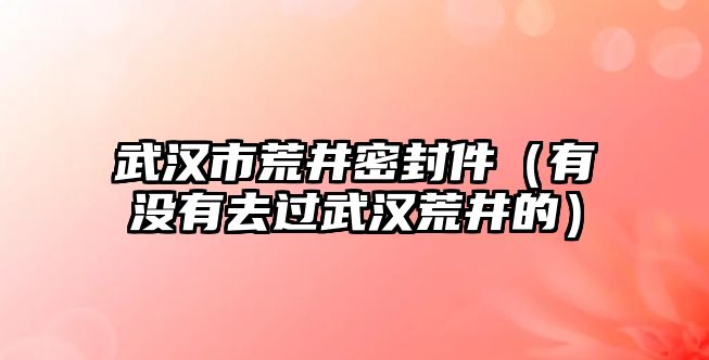 武漢市荒井密封件（有沒(méi)有去過(guò)武漢荒井的）