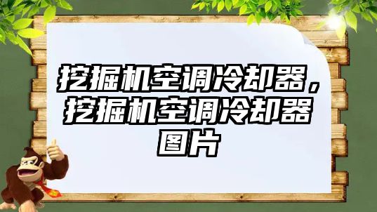 挖掘機空調(diào)冷卻器，挖掘機空調(diào)冷卻器圖片