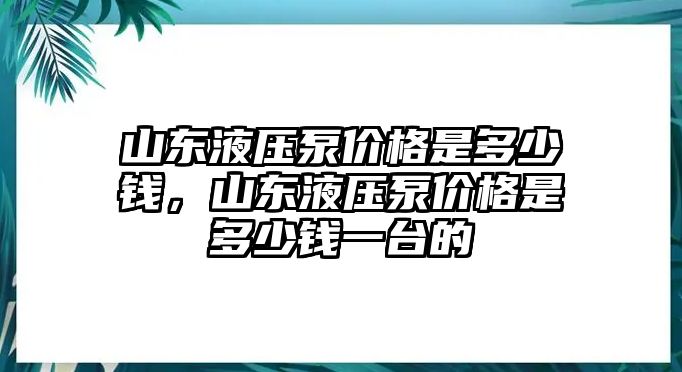 山東液壓泵價(jià)格是多少錢(qián)，山東液壓泵價(jià)格是多少錢(qián)一臺(tái)的