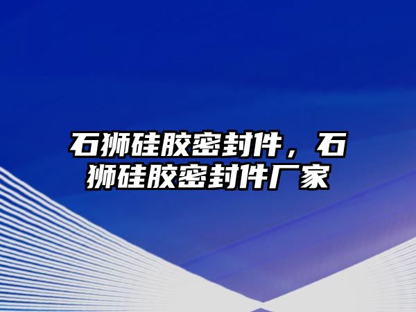 石獅硅膠密封件，石獅硅膠密封件廠家