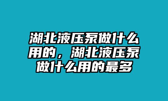 湖北液壓泵做什么用的，湖北液壓泵做什么用的最多