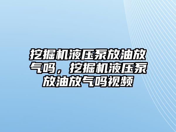 挖掘機(jī)液壓泵放油放氣嗎，挖掘機(jī)液壓泵放油放氣嗎視頻