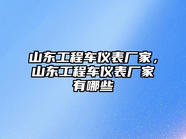 山東工程車儀表廠家，山東工程車儀表廠家有哪些