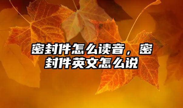 密封件怎么讀音，密封件英文怎么說