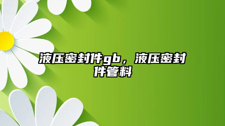 液壓密封件gb，液壓密封件管料