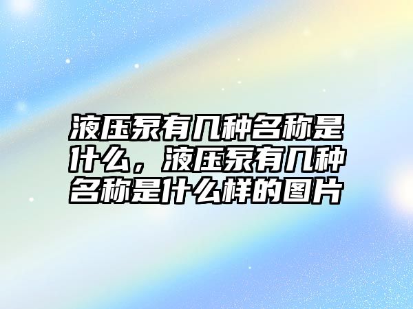 液壓泵有幾種名稱是什么，液壓泵有幾種名稱是什么樣的圖片