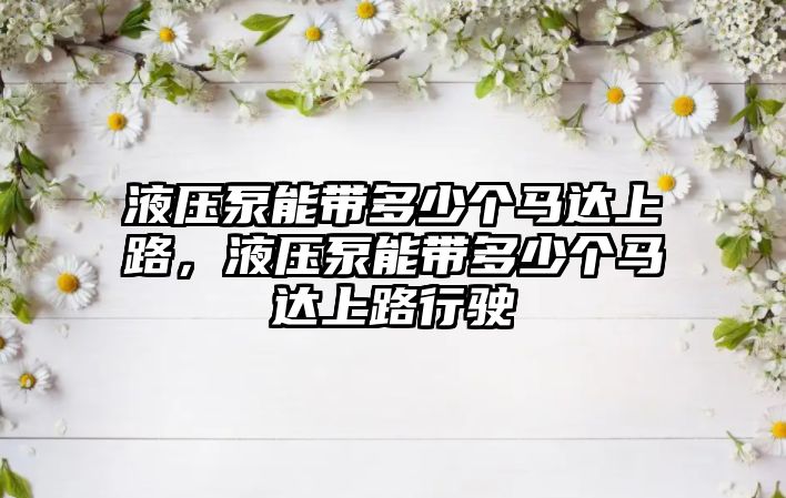 液壓泵能帶多少個馬達(dá)上路，液壓泵能帶多少個馬達(dá)上路行駛