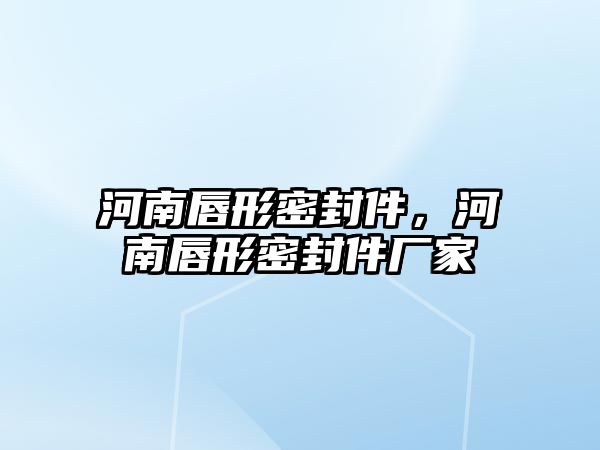 河南唇形密封件，河南唇形密封件廠家