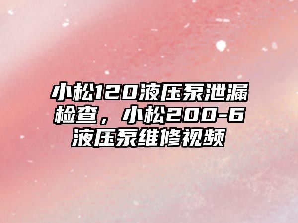 小松120液壓泵泄漏檢查，小松200-6液壓泵維修視頻