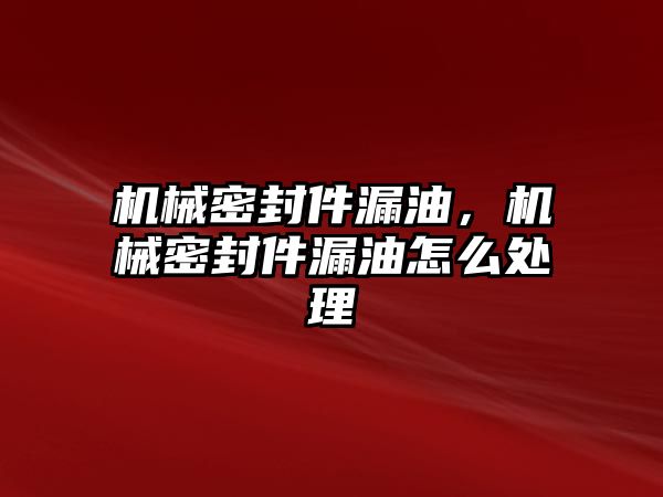 機械密封件漏油，機械密封件漏油怎么處理