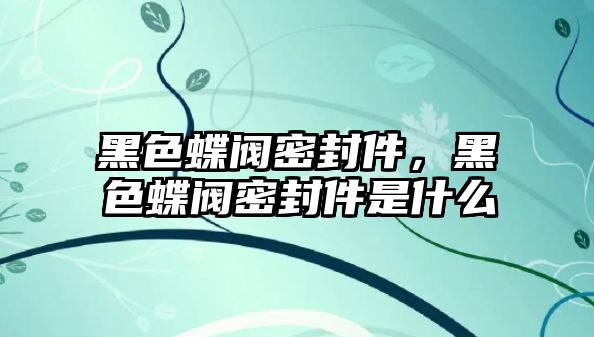 黑色蝶閥密封件，黑色蝶閥密封件是什么