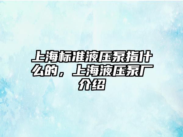 上海標(biāo)準(zhǔn)液壓泵指什么的，上海液壓泵廠介紹