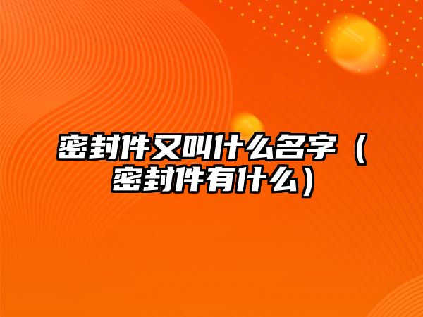 密封件又叫什么名字（密封件有什么）